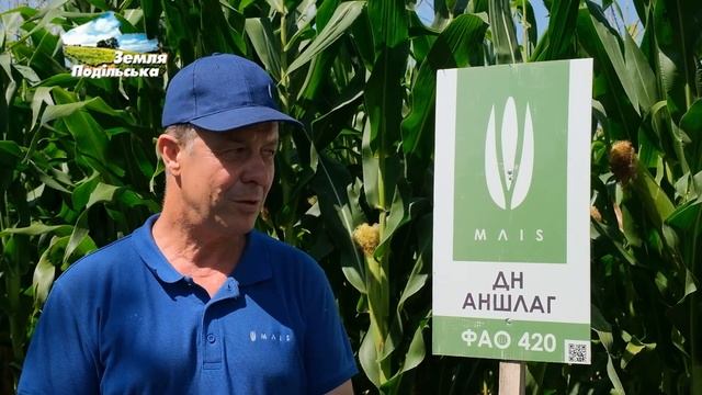 Гібриди кукурудзи "МАЇС" у господарствах Вінниччини та на демополі в Ольгополі смотреть онлайн