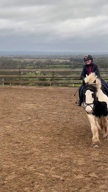 Maeve and dolly for @OcarinaFairy смотреть онлайн