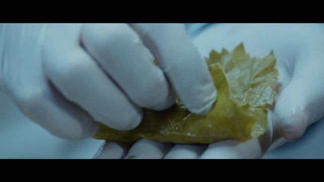 ZTFF235 Dolma 30'' Azerbaijan смотреть онлайн