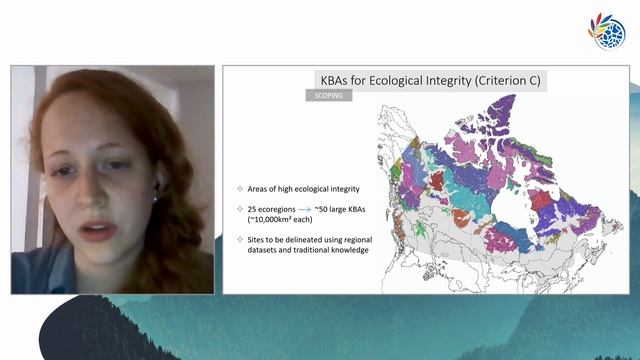 Key Biodiversity Area Conservation in a Post 2020 World смотреть онлайн