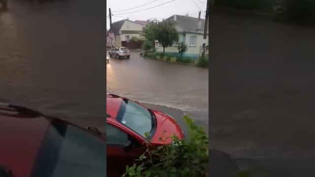 Погода Сумы смотреть онлайн
