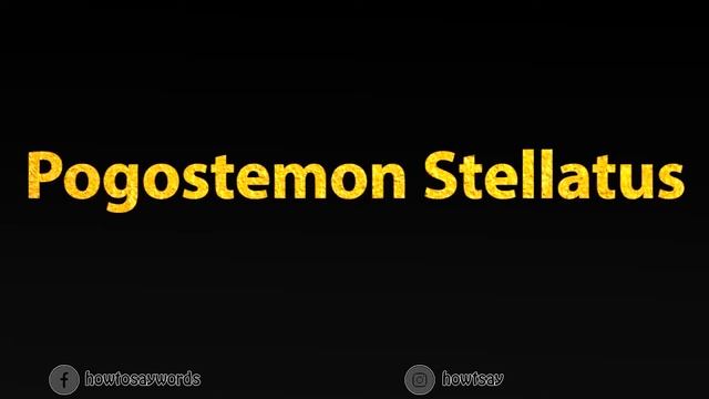 How To Pronounce Pogostemon Stellatus смотреть онлайн
