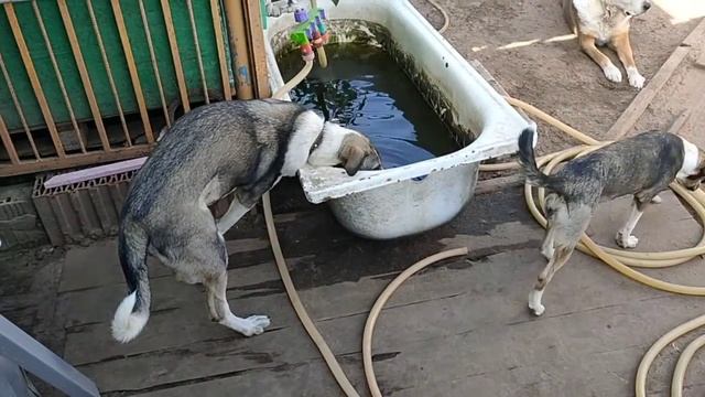 Женя и Ритка) смотреть онлайн