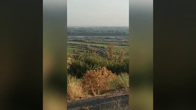 щегол на природе, Tabiat qõynida смотреть онлайн