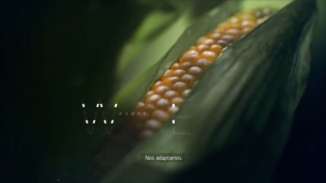 tom clancys the division 2 смотреть онлайн