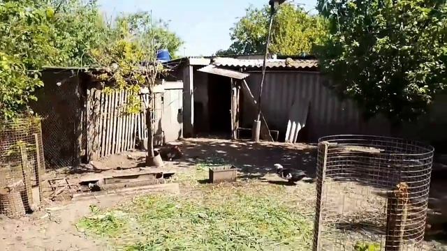 болталка смотреть онлайн