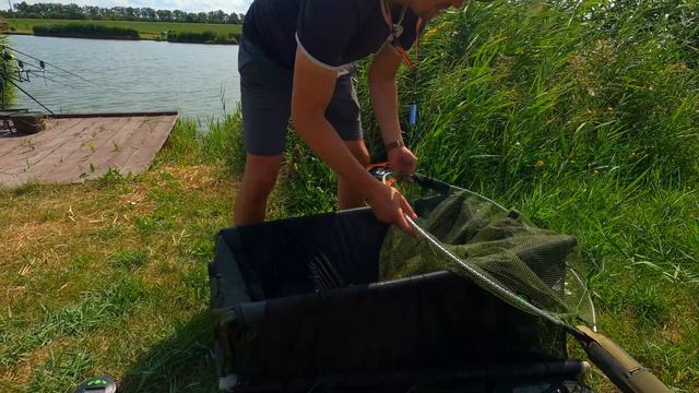 КАРПИ вкрали вудку ● RoMaX Fishing смотреть онлайн