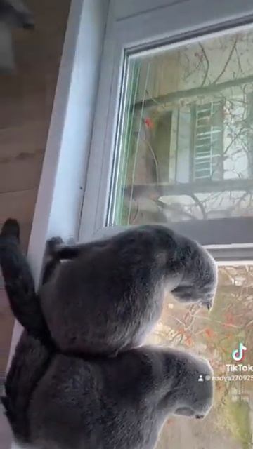 Угарная погода смотреть онлайн