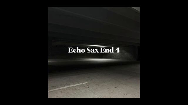 Full Echo Sax End playlist in order in 1 song (4D+HQ) смотреть онлайн