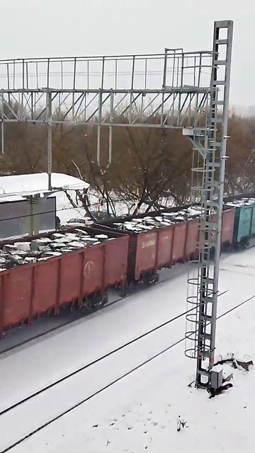 " Синяя тепловозная легенда! " 2ТЭ25К – 0015 с вывозным поездом. Станция Царицыно ; 18.02.2023. #мж смотреть онлайн