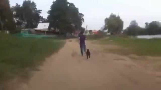 Козлиные бега смотреть онлайн