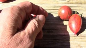 Pink Tiger, Black Vernissage, and Carneros Pink Tomatoes - Taste Test.