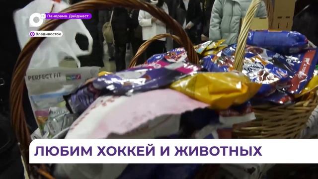 Почти полтонны корма для собак и кошек собрали во Владивостоке любители хоккея смотреть онлайн