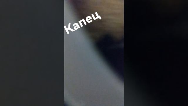 КОЛЬЦЕВАЯ ЛАМПА СЛОМАЛАСЬ!#лайк #лампа #рекомендации смотреть онлайн