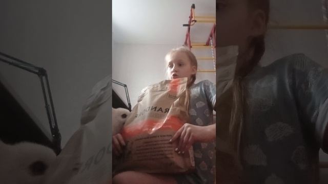 новая продукция форма собачьего смотреть онлайн