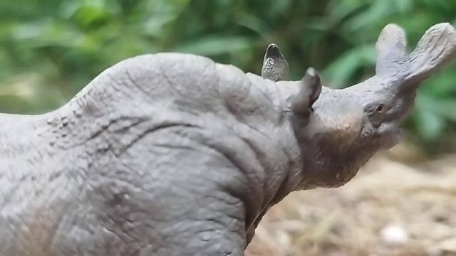 Dinosaur World Creature Spot: Megacerops смотреть онлайн