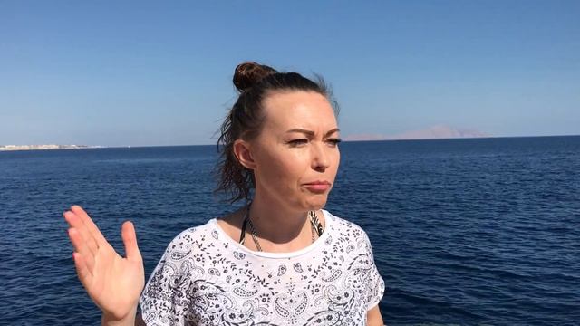 Отзыв о командном коучинге Елена Муравьева