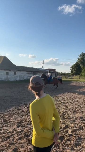 Мой боевой друг этого лета #прекрасный и ужасный Вектор 💥#конныйспорт смотреть онлайн