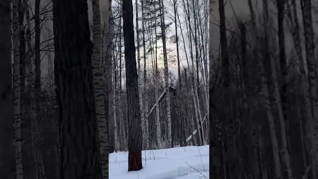 Поездка в тайгу. Часть 3-я #тайга #дикийлес #дикийотдых #готовимнаприроде #блинчики #вкуснаяеда смотреть онлайн