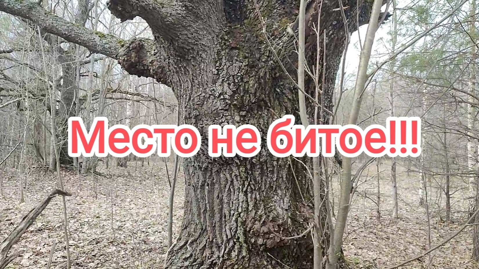 Кругом поверхстной металл!Итог 600 кг!Сдача накопанного! Цены на приемке! смотреть онлайн