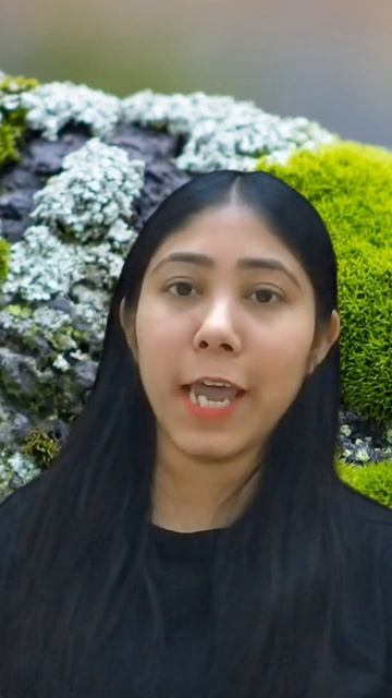 Economic Importance of Mosses | Useful Bryophytes | Sphagnum Moss | Peat Moss| Biology | Adhyayanta смотреть онлайн