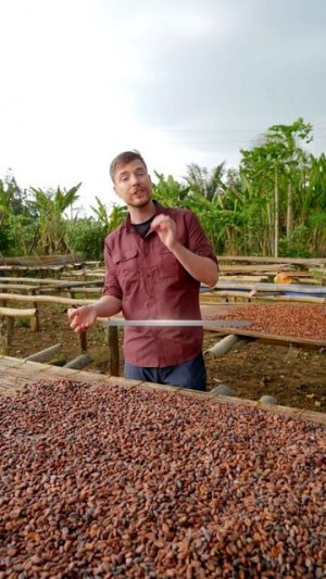 Ты можешь остановить это!