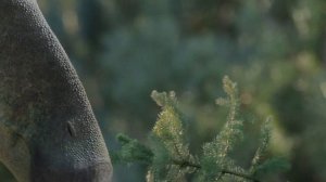 Какие Динозавры Были Самые Совершенные в Истории Земли? @realunrealchannel