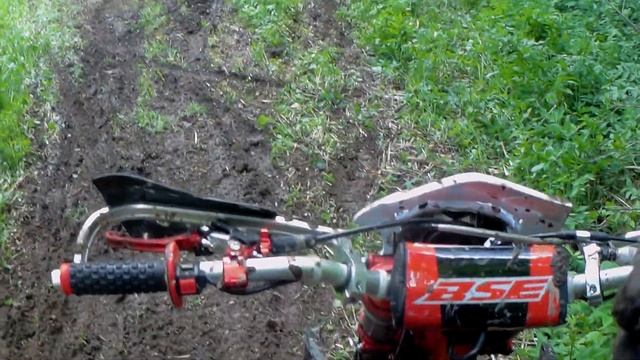 Домодедово прохват Рома бурундук