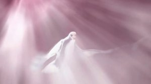 Футаж Голубь