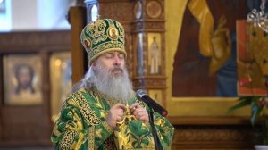 Проповедь митр. Арсения в Вербное воскресенье 17.04.2022 г.