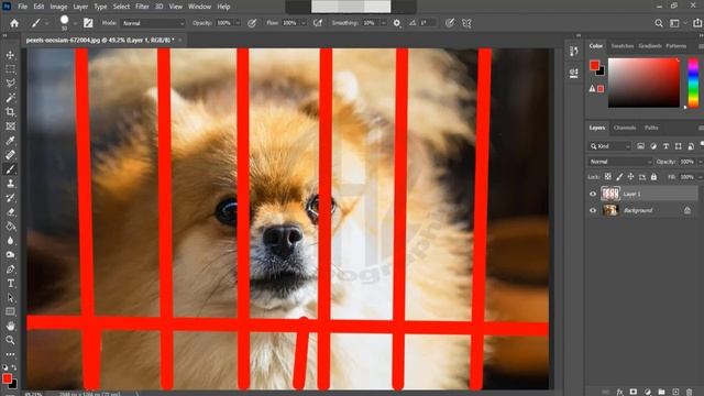 How to Remove Fence with Simple Steps in Photoshop by Raz graphic Design & Photography смотреть онлайн