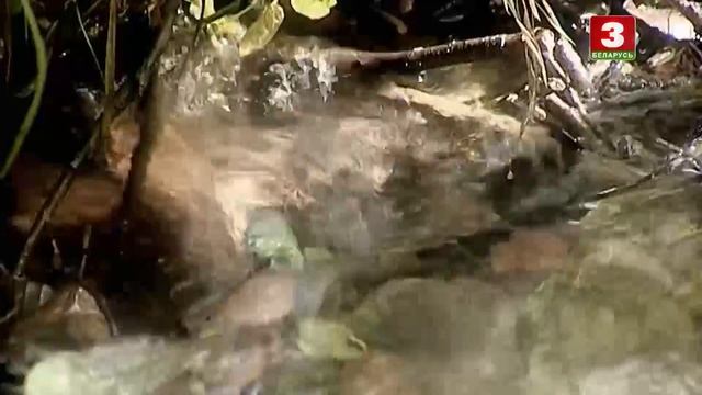 Нацыянальны хіт-парад 23.09.2018 смотреть онлайн