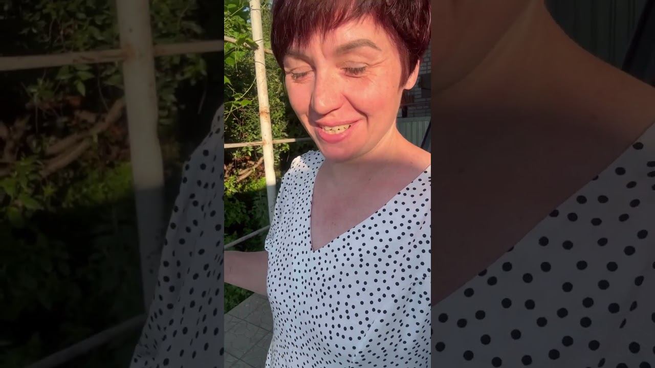 14 июня 2024 г. смотреть онлайн