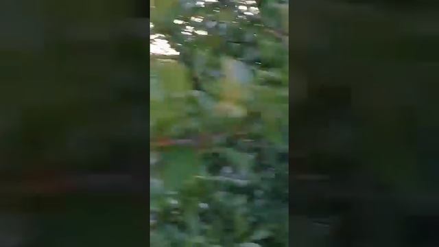1ИЮНЯ НА ДАЧЕ.ИТОГ ПОХУДЕНИЯ ЗА МАЙ🙊 смотреть онлайн