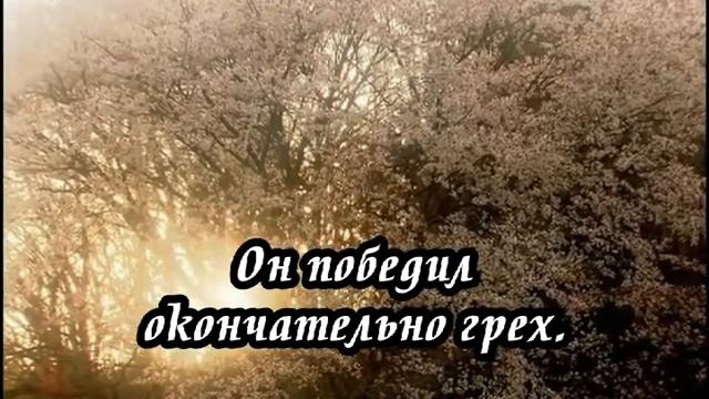 Ксения Лапицкая - Знаешь ли ты(-) смотреть онлайн