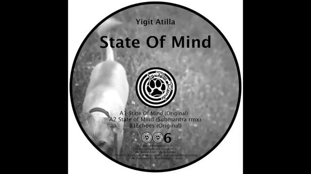 Yigit Atilla - State Of Mind [La Pitti records] LPT006 смотреть онлайн