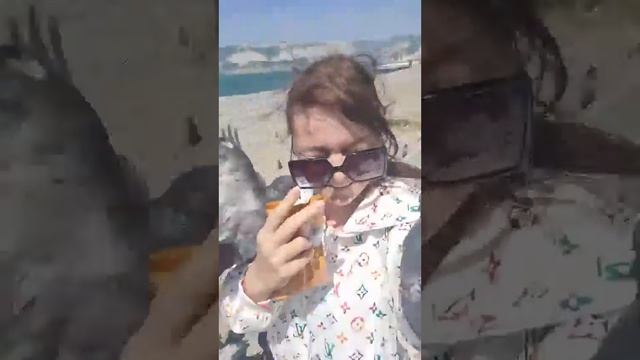 В Новороссийске зацвели каштаны. Каштаны, море, голуби - впечатления невероятные! смотреть онлайн