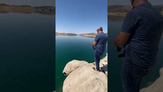 REKORLUK BİR ŞABUT / ÇOK BÜYÜK ÇOK / BARBUS GRYPUS / Tebrikler Metin abi смотреть онлайн