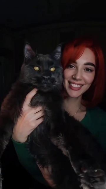 AMAZING BIG BLACK 🐱 #cat #cats #catsofinstagram смотреть онлайн