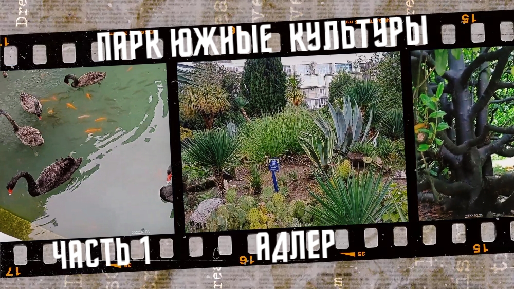 Парк Южные культуры, город Адлер 2022, часть 1. смотреть онлайн