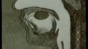 Пищеварительная система    СССР, 9 24 фильм