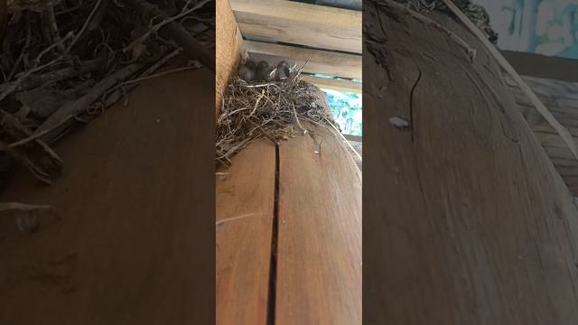 20 июля 2024 г. смотреть онлайн