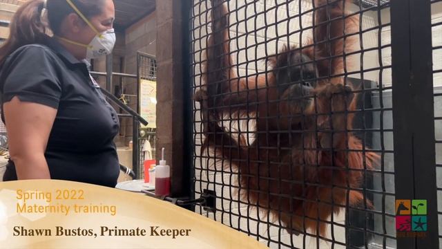 The ABQ BioPark is thankful for our recent primate babies! смотреть онлайн