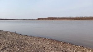 Рыбалка на Тунгуске 12.04.2025. Николаевка 23 створа.