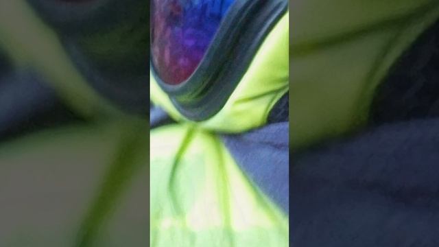 следим за девочками смотреть онлайн