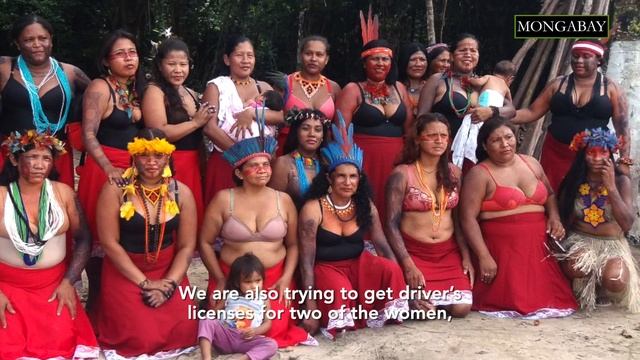 Amazon ‘women warriors’ defend their territory from illegal clearing смотреть онлайн