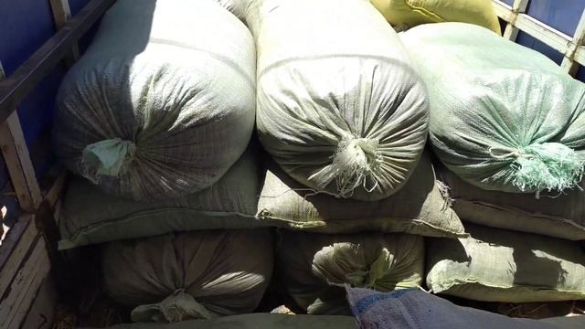 1 тона биогумус типлитца учун юбордим 915810833 смотреть онлайн