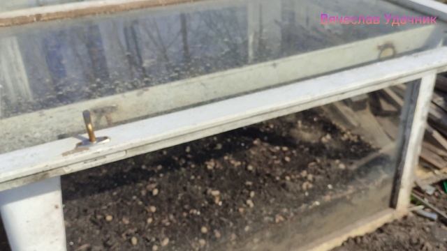 Обзор дачи 10-04-2025