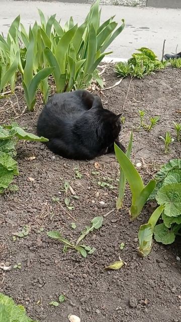 9 апреля 2023 г. смотреть онлайн