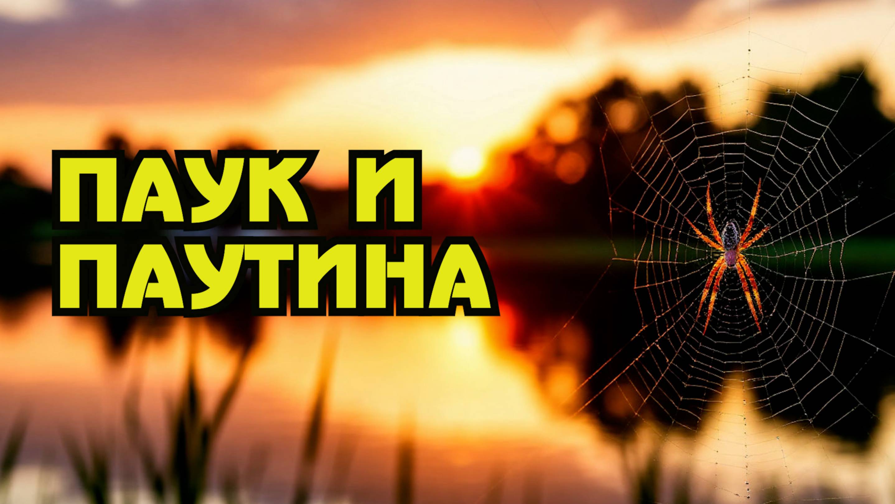 Паук и паутина смотреть онлайн